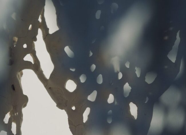 SERIE A-VOID | ARTE POVERA | ESTHER VAN DER SLUIS