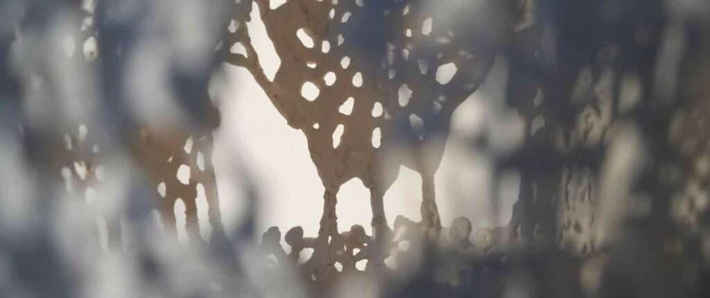 INSTALLATIE A-VOID | ESTHER VAN DER SLUIS